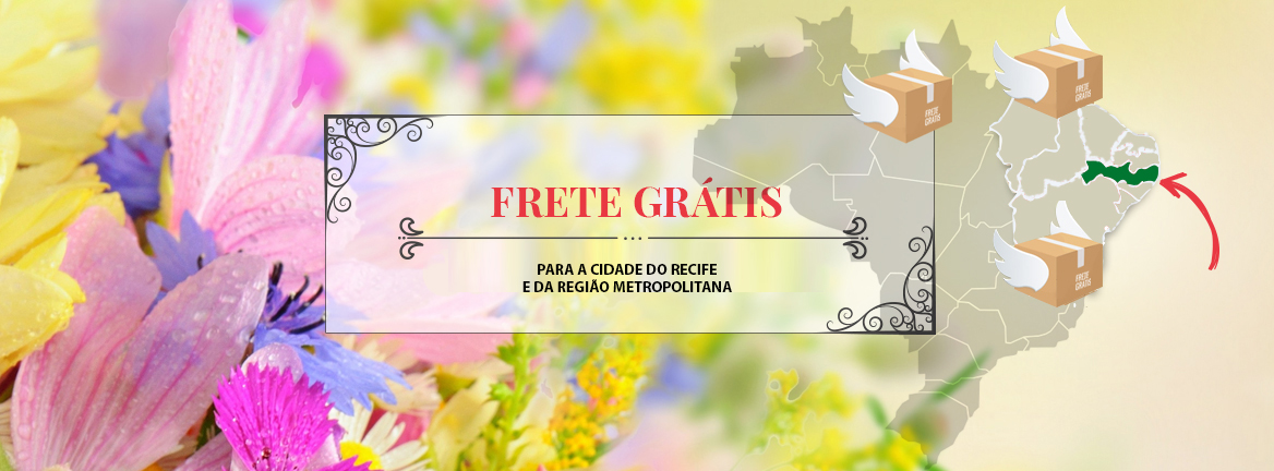 banner-frete-gratis-isolado2